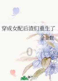 软件著作权的保护范围包括哪些方面?
